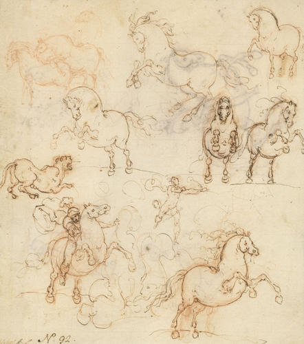Studies of rearing horses Studies of rearing horses