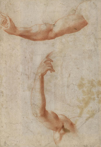 Studies of arms, and (verso) of a male nude Studies of arms, and (verso) of a male nude