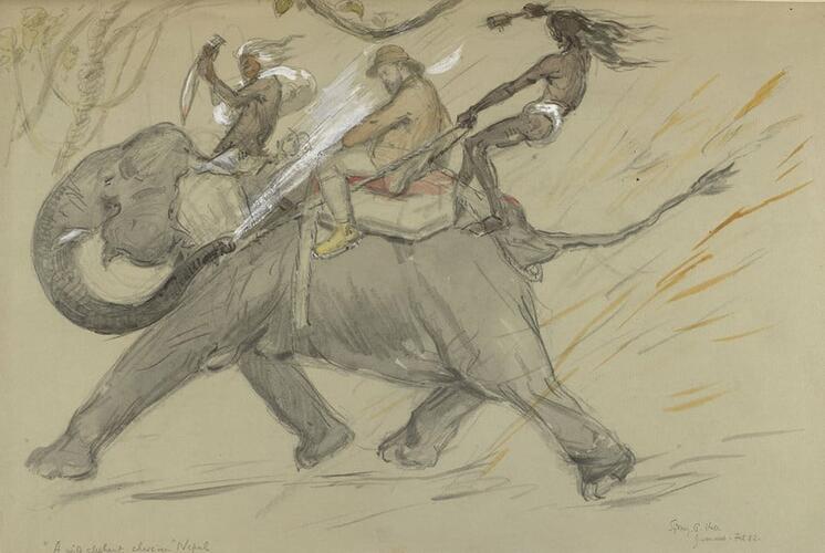 A wild elephant chase in Nepal A wild elephant chase in Nepal