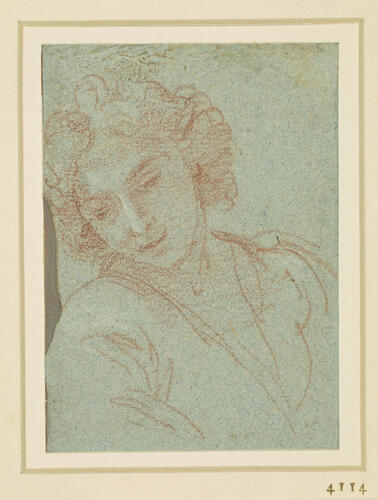 The head of a youth