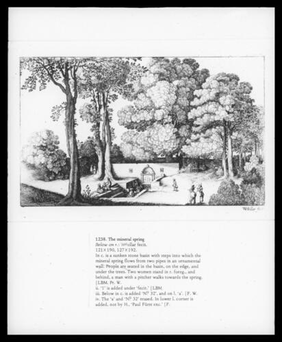 The mineral spring