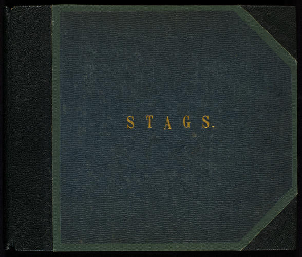Stags; Volume 2