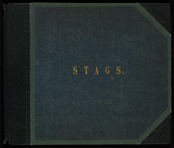 Stags; Volume 2 Stags; Volume 2