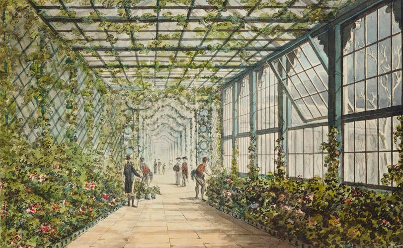 Designs for the Pavilion at Brighton: West Corridor of the Pavilion-Green House