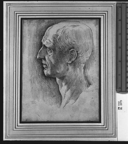 The head of Julius Caesar The head of Julius Caesar
