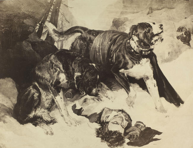'Alpine Mastiffs'; Alpine Mastiffs Reanimating a Distressed Traveller
