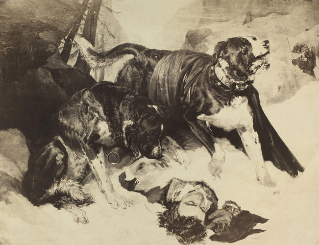 'Alpine Mastiffs'; Alpine Mastiffs Reanimating a Distressed Traveller 'Alpine Mastiffs'; Alpine Mastiffs Reanimating a Distressed Traveller