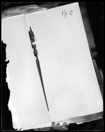 Glass plate negative Glass plate negative