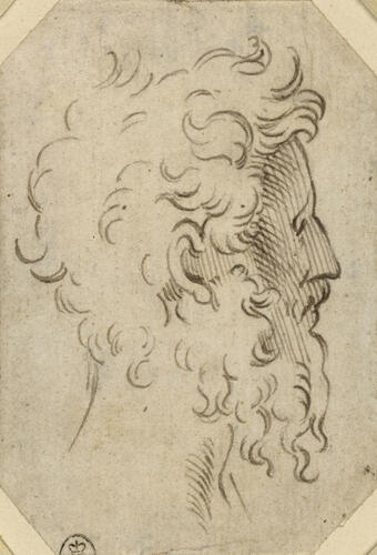 The head of a man The head of a man