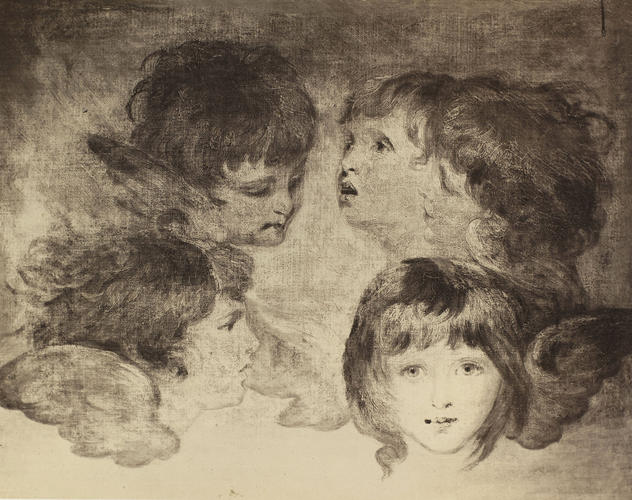 'Angels Heads' 'Angels Heads'
