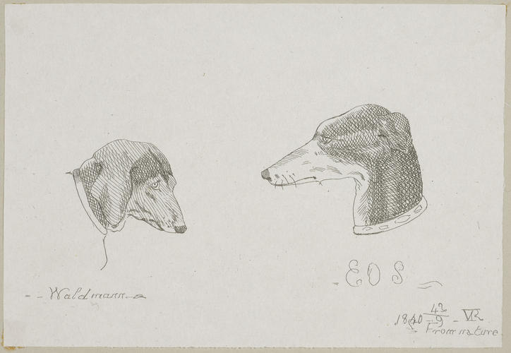 Waldmann [&] Eos