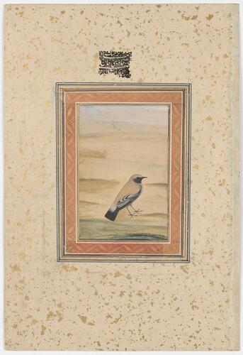 Master: Mughal album of portraits, animals and birds.
Item: Painting of a desert wheatear and portrait of Ashraf Khan