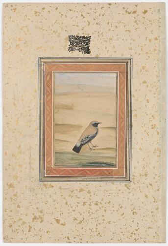 Master: Mughal album of portraits, animals and birds.
Item: Painting of a desert wheatear and portrait of Ashraf Khan Master: Mughal album of portraits, animals and birds.
Item: Painting of a desert wheatear and portrait of Ashraf Khan
