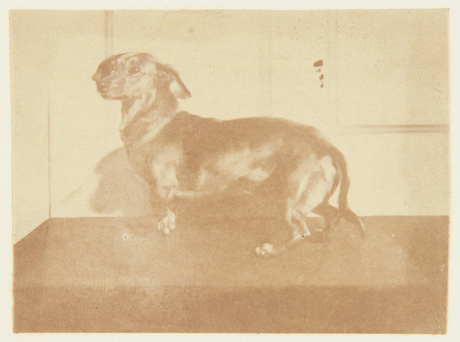 Deckel from a Picture by Sir E. Landseer 1847