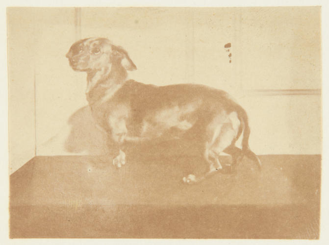 Deckel from a Picture by Sir E. Landseer 1847 Deckel from a Picture by Sir E. Landseer 1847