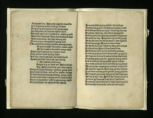 [Commentary on Alexander of Villedieu's Doctrinale]