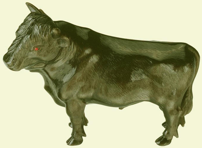 Dexter bull