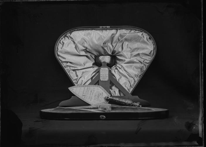 Glass plate negative Glass plate negative
