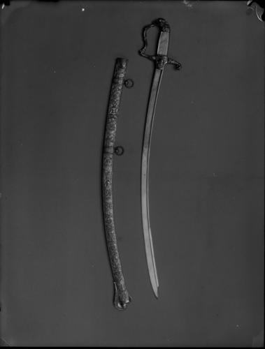 Glass plate negative Glass plate negative