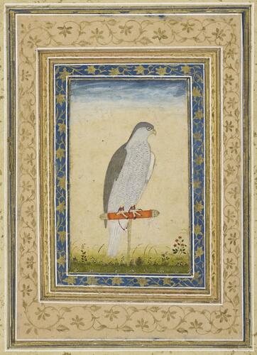 Master: Mughal album of portraits, animals and birds.
Item: Painting of a falcon
