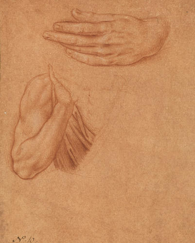 A study of a hand and an arm