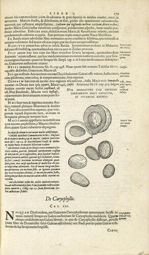 Exoticorum libri decem, quibus animalium, plantarum, aromatum aliorumque pereflorium fructuum historiae describuntur . . Exoticorum libri decem, quibus animalium, plantarum, aromatum aliorumque pereflorium fructuum historiae describuntur . .