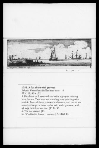 A flat shore with groynes A flat shore with groynes