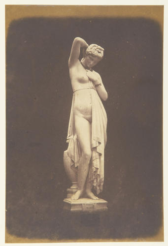 'Phryne' 'Phryne'