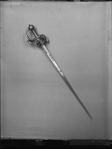 Glass plate negative Glass plate negative