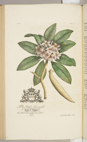 The Natural history of Barbados, in ten books / by Rev. Griffith Hughes The Natural history of Barbados, in ten books / by Rev. Griffith Hughes