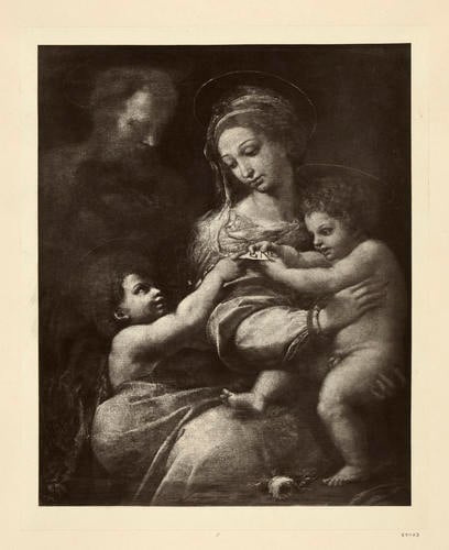 Holy Family with the Infant Baptist [`The Madonna della Rosa?]