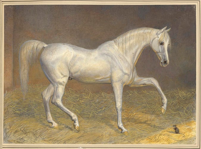 Khorseed, Arab horse, presented to Her Majesty by Sir Jamsetjee Jeejeebhoy of Bombay. 	1869